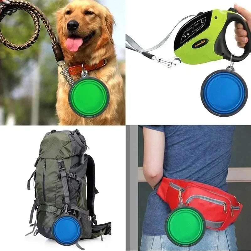 Folding Travel Bowl for Dogs and Cats - Food and Water