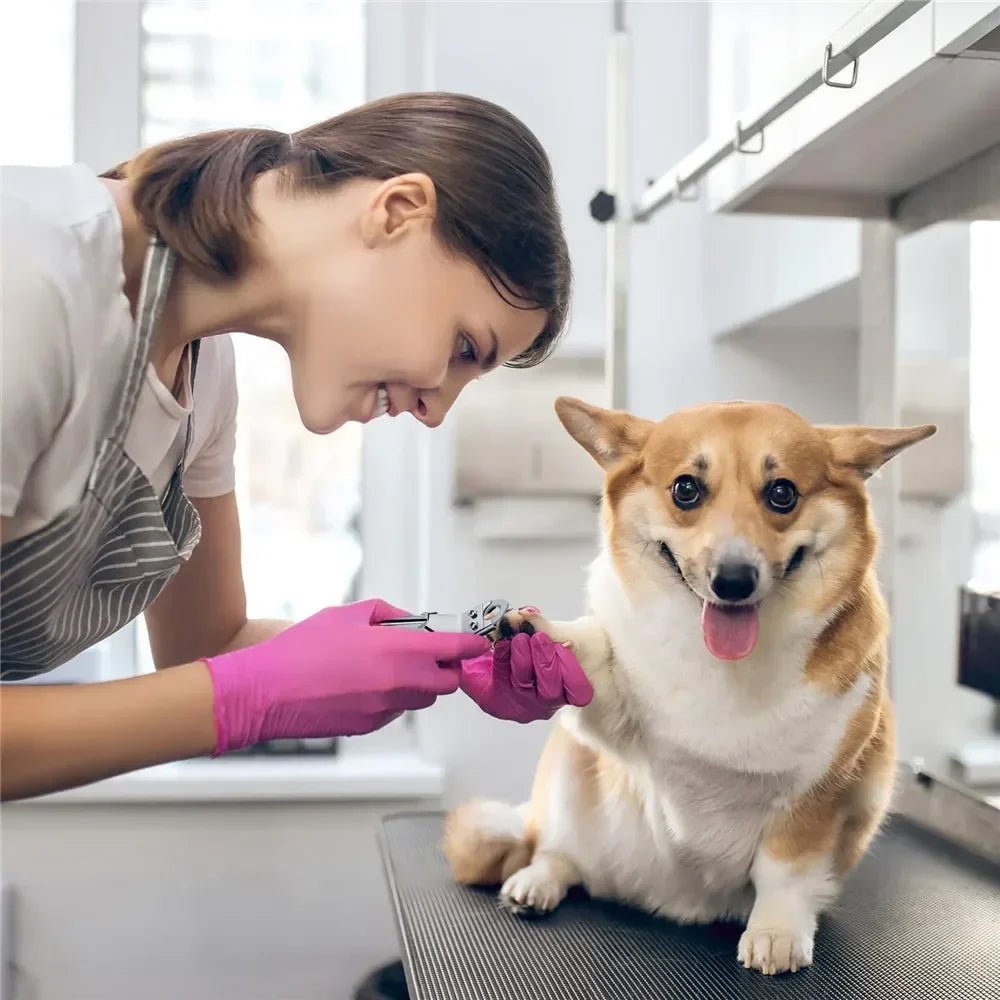 Stainless Steel Pet Nail Clipper for Dogs and Cats