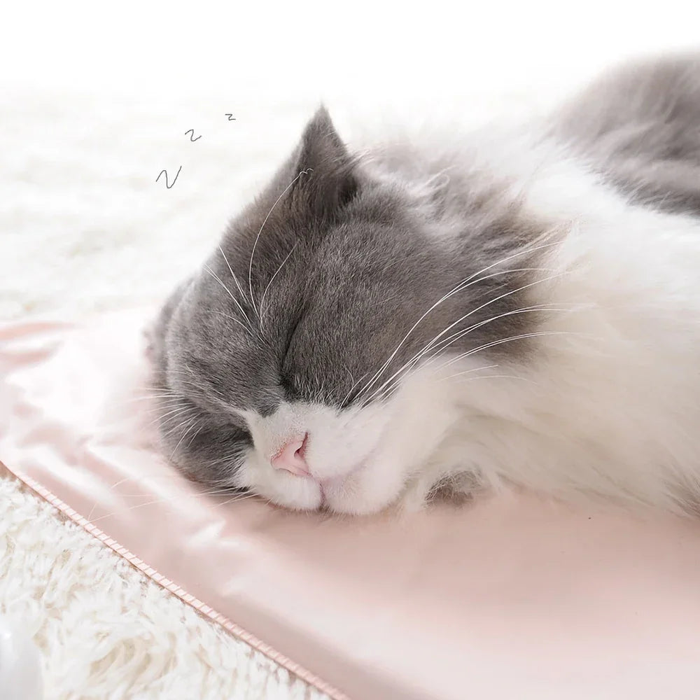 Waterproof Heated Bed Warming Pad for Cats & Dogs
