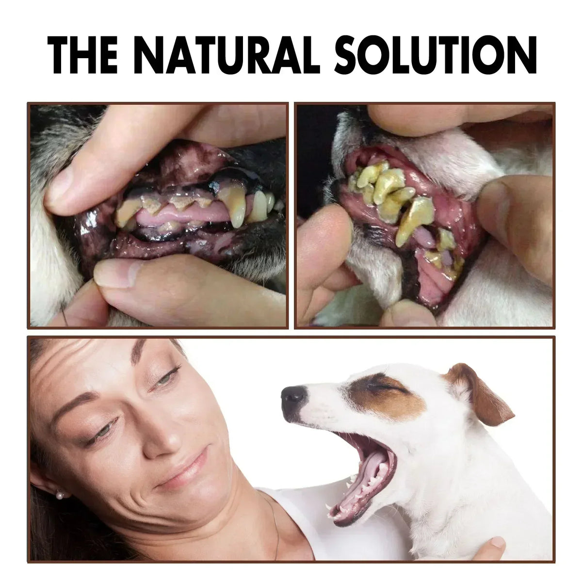 Pet Dental Spray for Dogs and Cats - Fresh Breath Oral Care