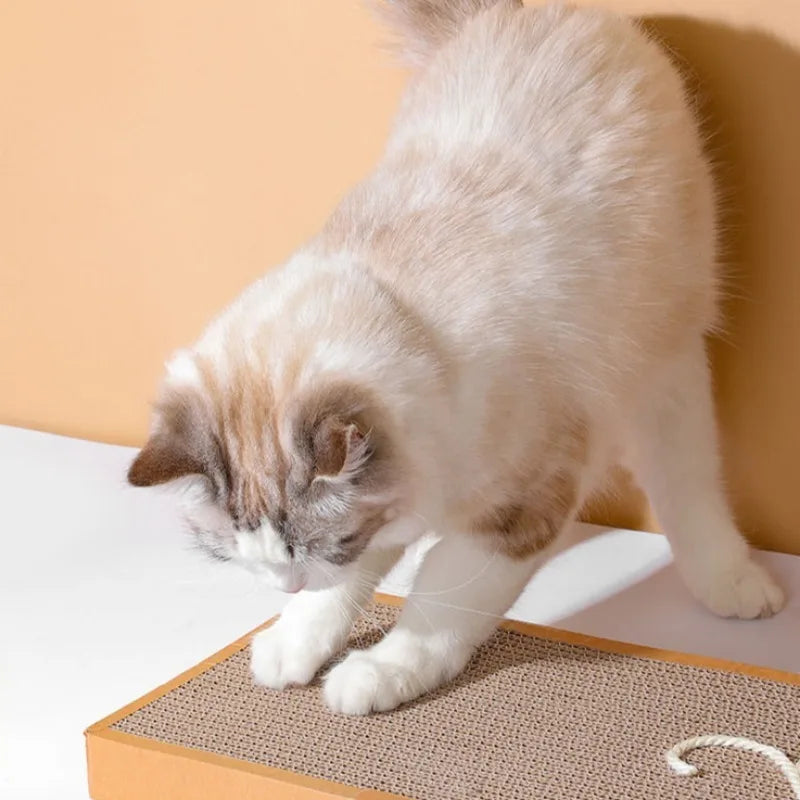 Cardboard Cat Scratching Board for Claw Care