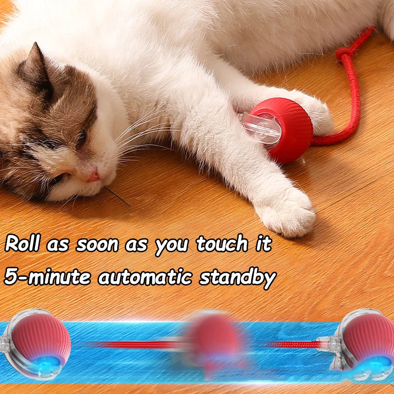 Automatic Rolling Interactive Cat Ball Toy