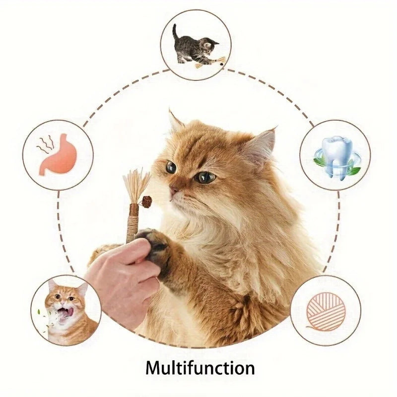 Silvervine Chew Stick for Cats - Natural Dental Toy