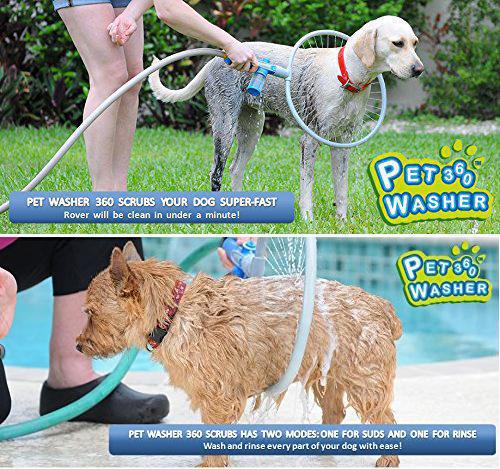 Puppy Rinse Delight Circle