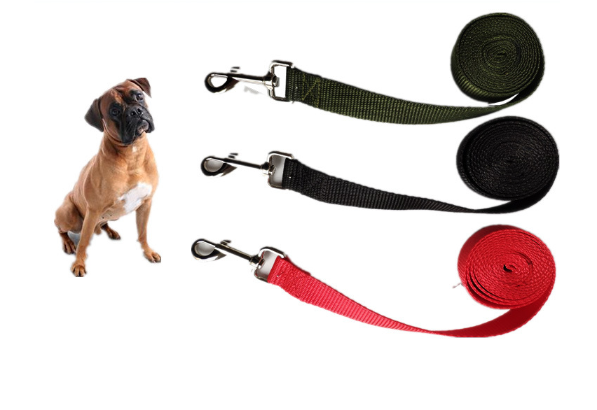 Sturdy Wide Grip Dog Leash