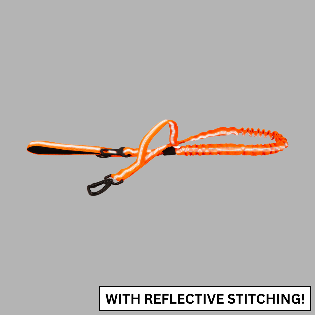 Tactical Double-Handle Padded Bungee Dog Leash, 69-Inch