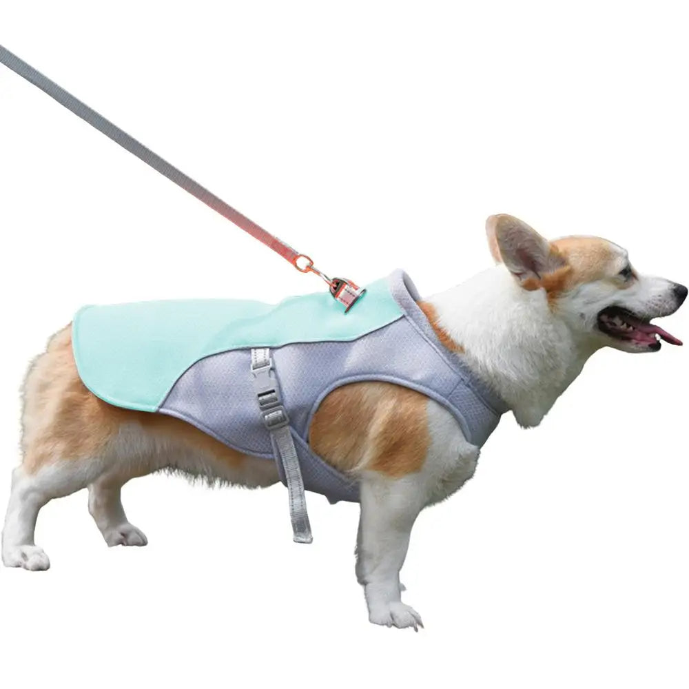 Dog Cooling Vest for Hot Weather Activities