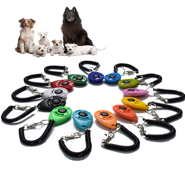 Keychain Dog Command Clicker