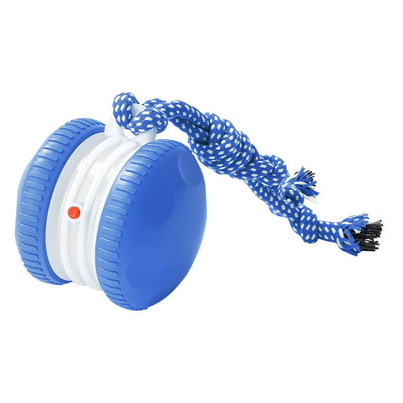 Complete CalmEnergy Dog Enrichment System - 3-in-1 Play &amp; Stimulation Set