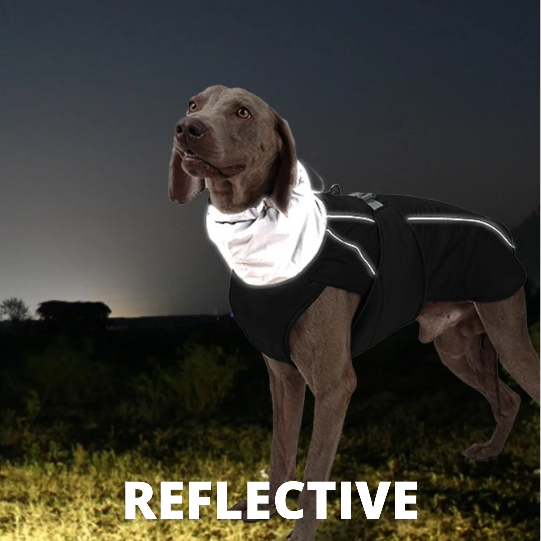 Water-Resistant Reflective Dog Winter Coat