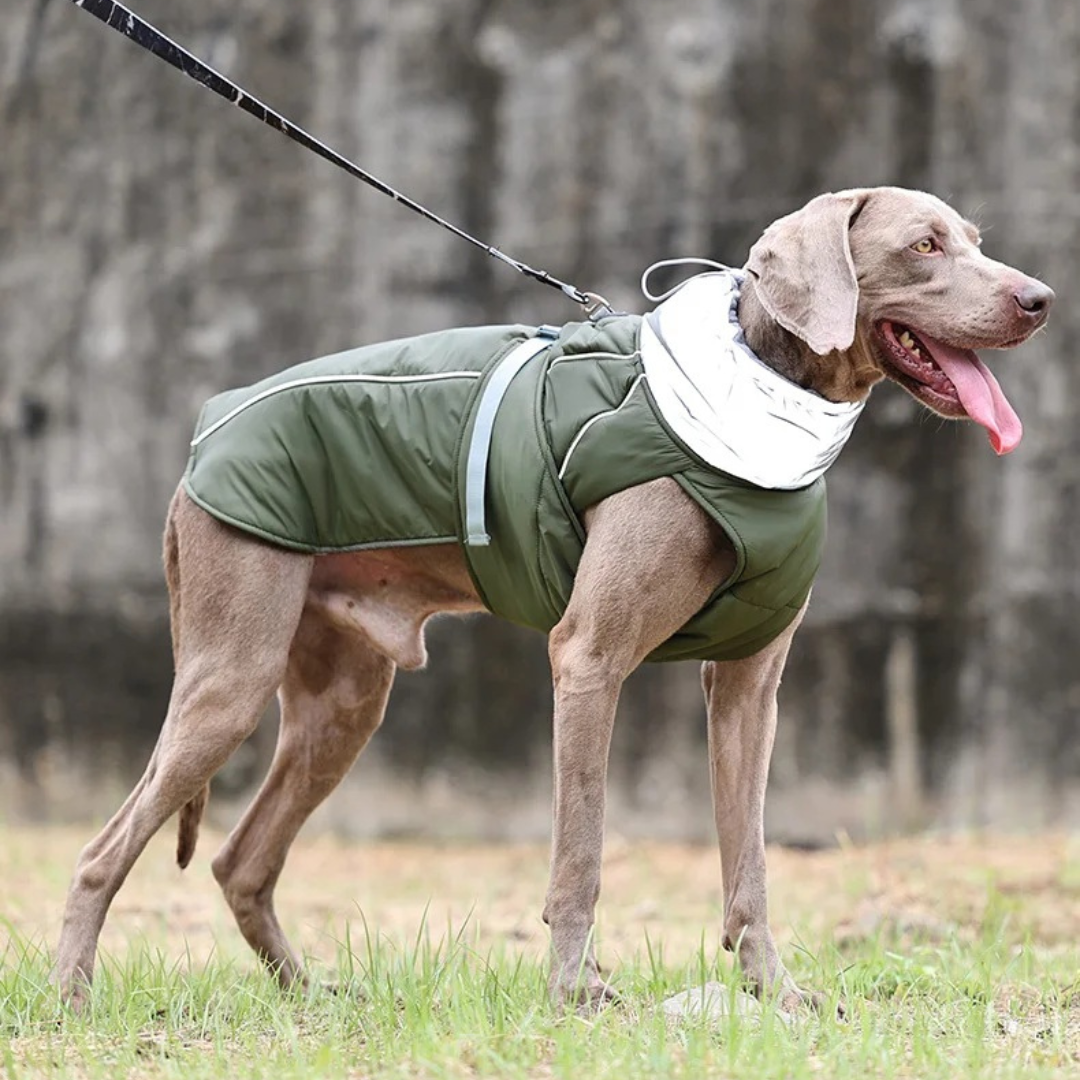 Water-Resistant Reflective Dog Winter Coat