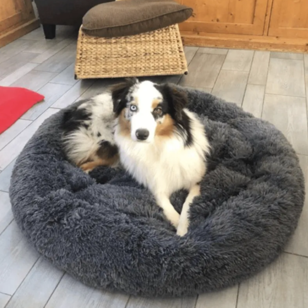 Calming Dog Bed - Ultra Plush Cozy Nest with Raised Rim