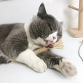 Natural Silvervine Cat Chew Toy Set (3-Piece)