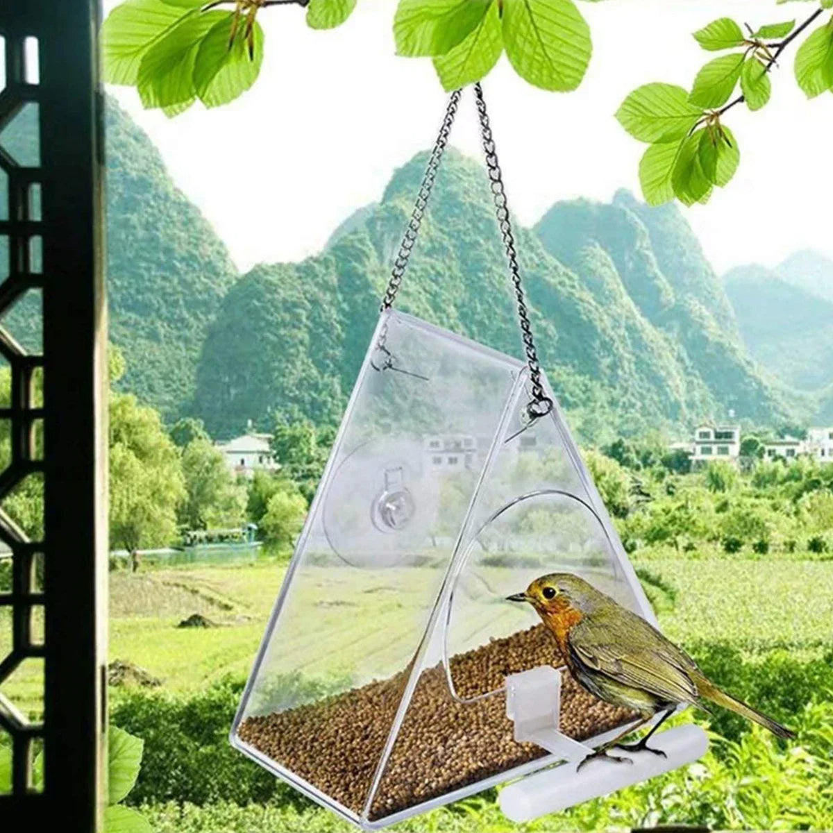 Clear Acrylic Suction-Mount Bird Feeder for Outdoor Viewing
