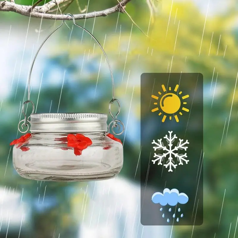 Clear Flower-Port Hummingbird Feeder