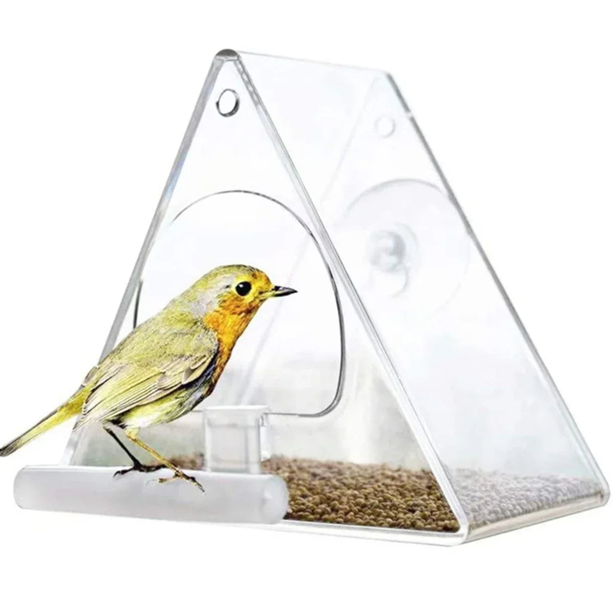 Clear Acrylic Suction-Mount Bird Feeder for Outdoor Viewing