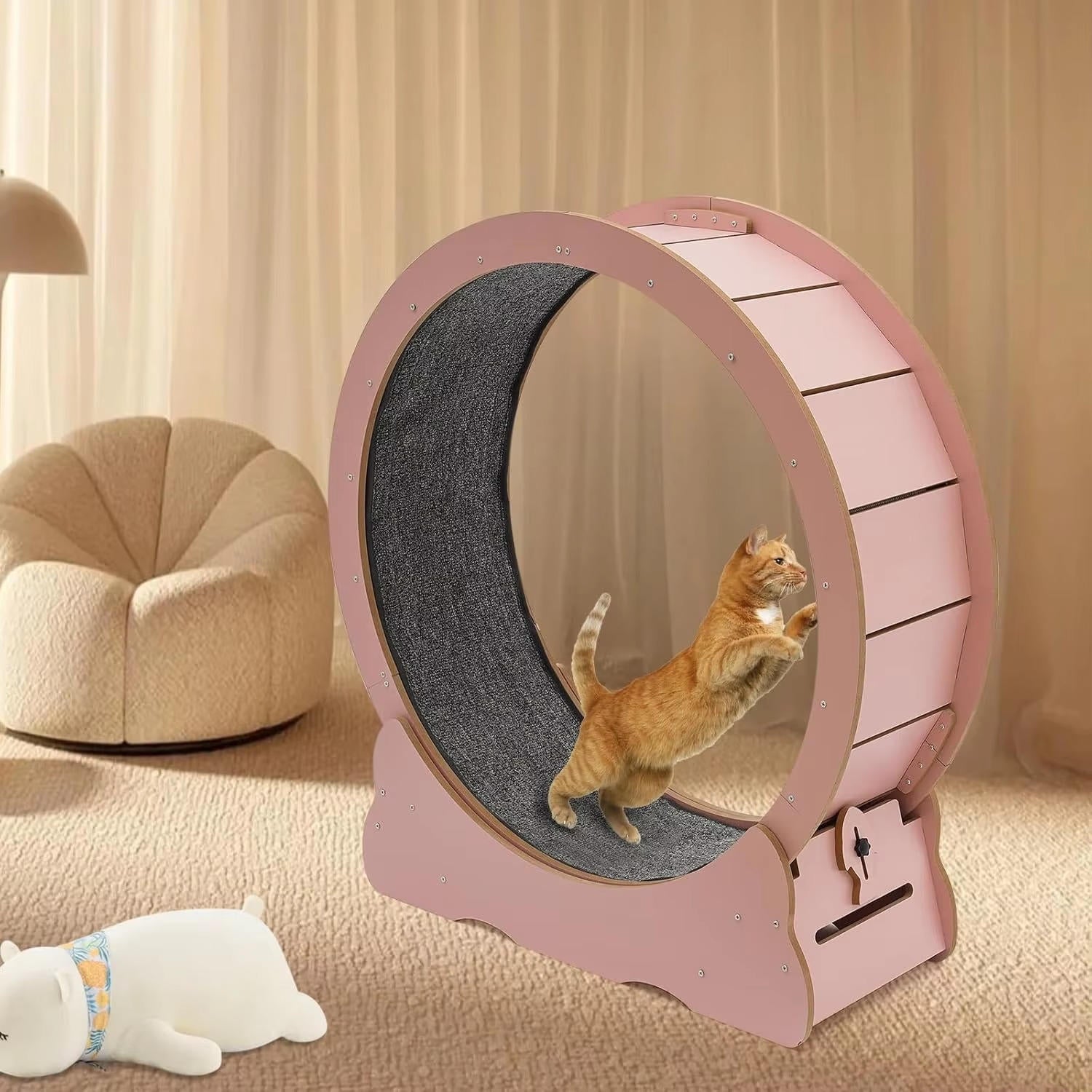 Quiet Indoor Cat Exercise Wheel with Cushioned Track