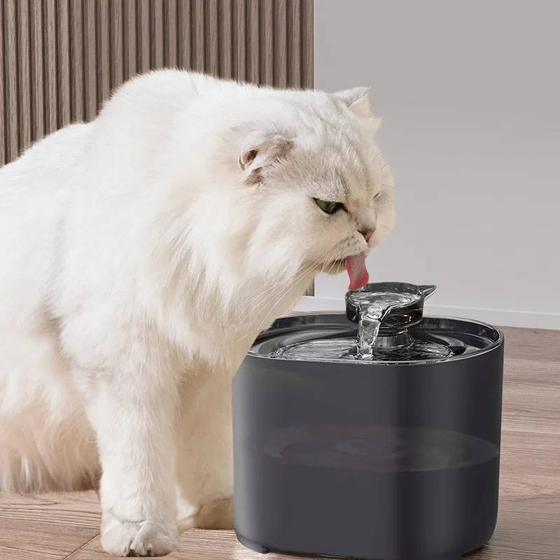Filtered Cat Water Fountain with Quiet Flowing Stream