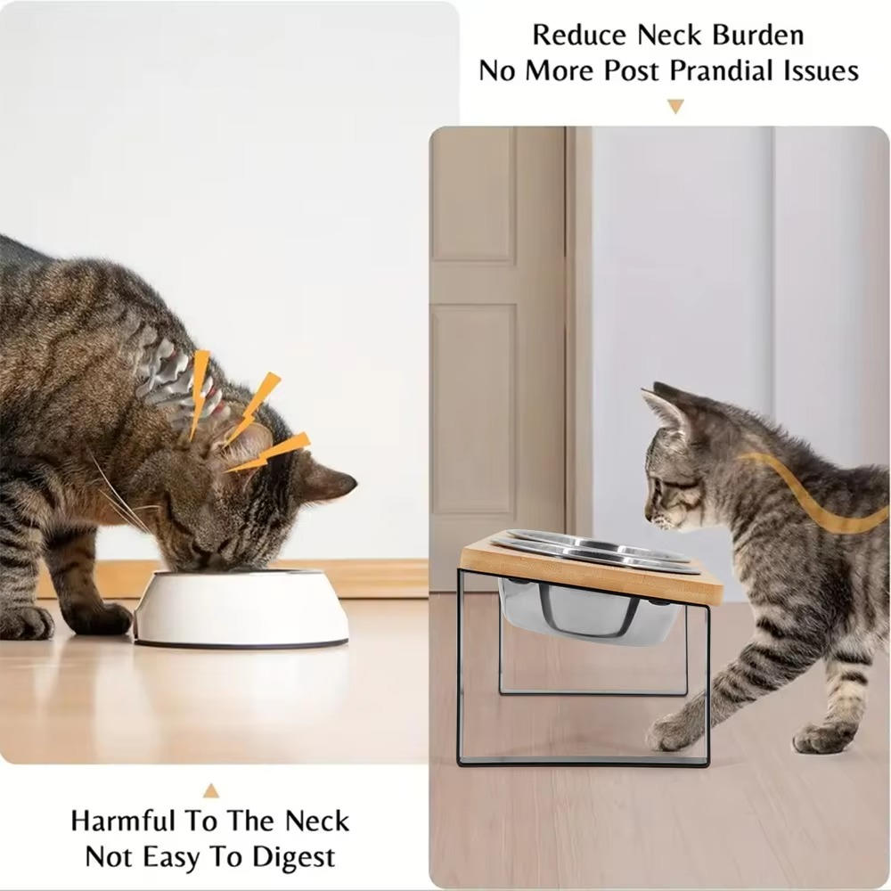 Elevated Cat Bowl with 15-Degree Tilt for Comfortable Feeding