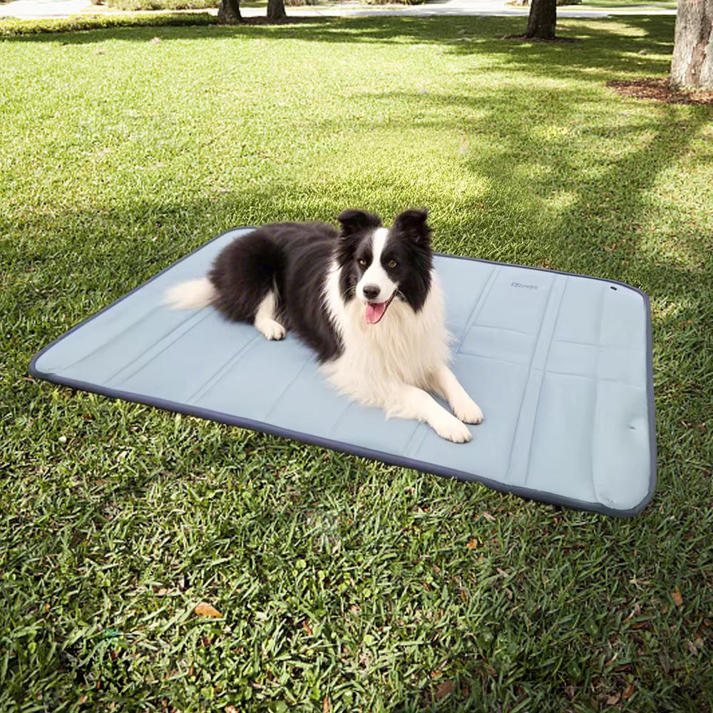 Convertible Travel Bag and Mat for Dogs