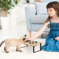 Elevated Cat Bowl with 15-Degree Tilt for Comfortable Feeding