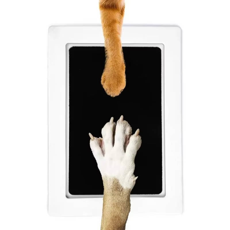 Mess-Free Paw Print Keepsake Kit for Dogs and Cats