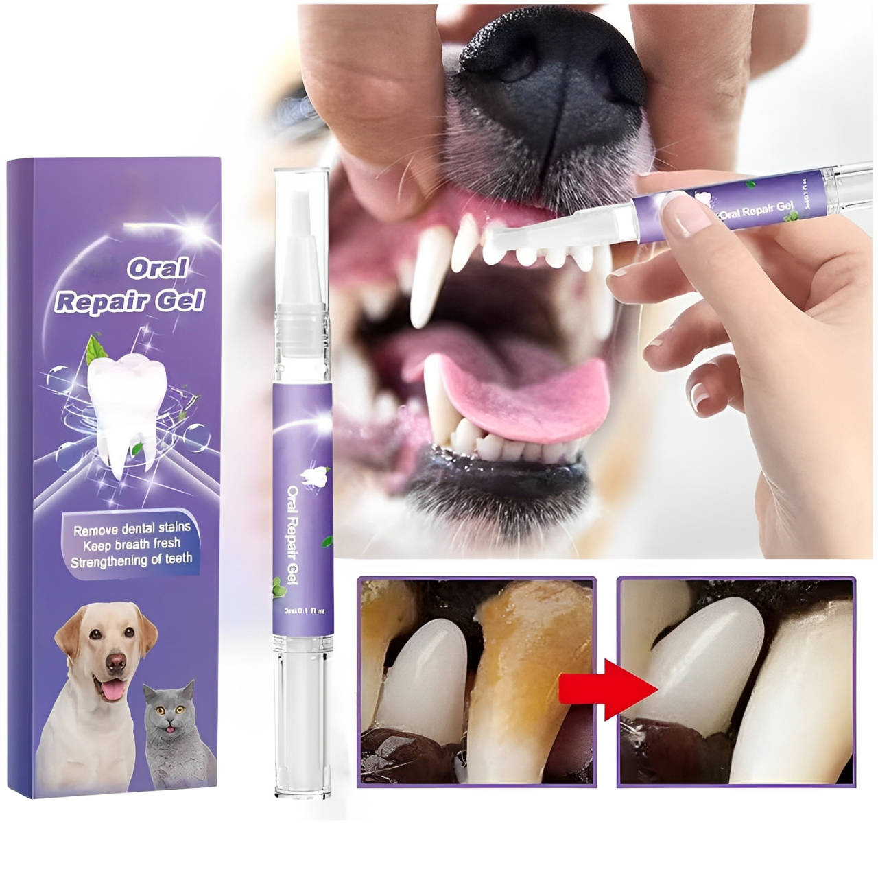 3-Pack Dog Oral Repair Gel