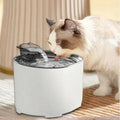 Filtered Cat Water Fountain with Quiet Flowing Stream