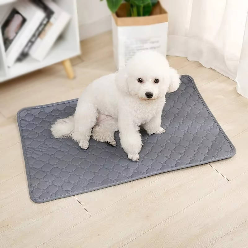 4-Layer Absorbent Dog Pee Pads, Disposable and Reusable