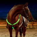 Rechargeable LED Horse Breast Collar for Night Visibility