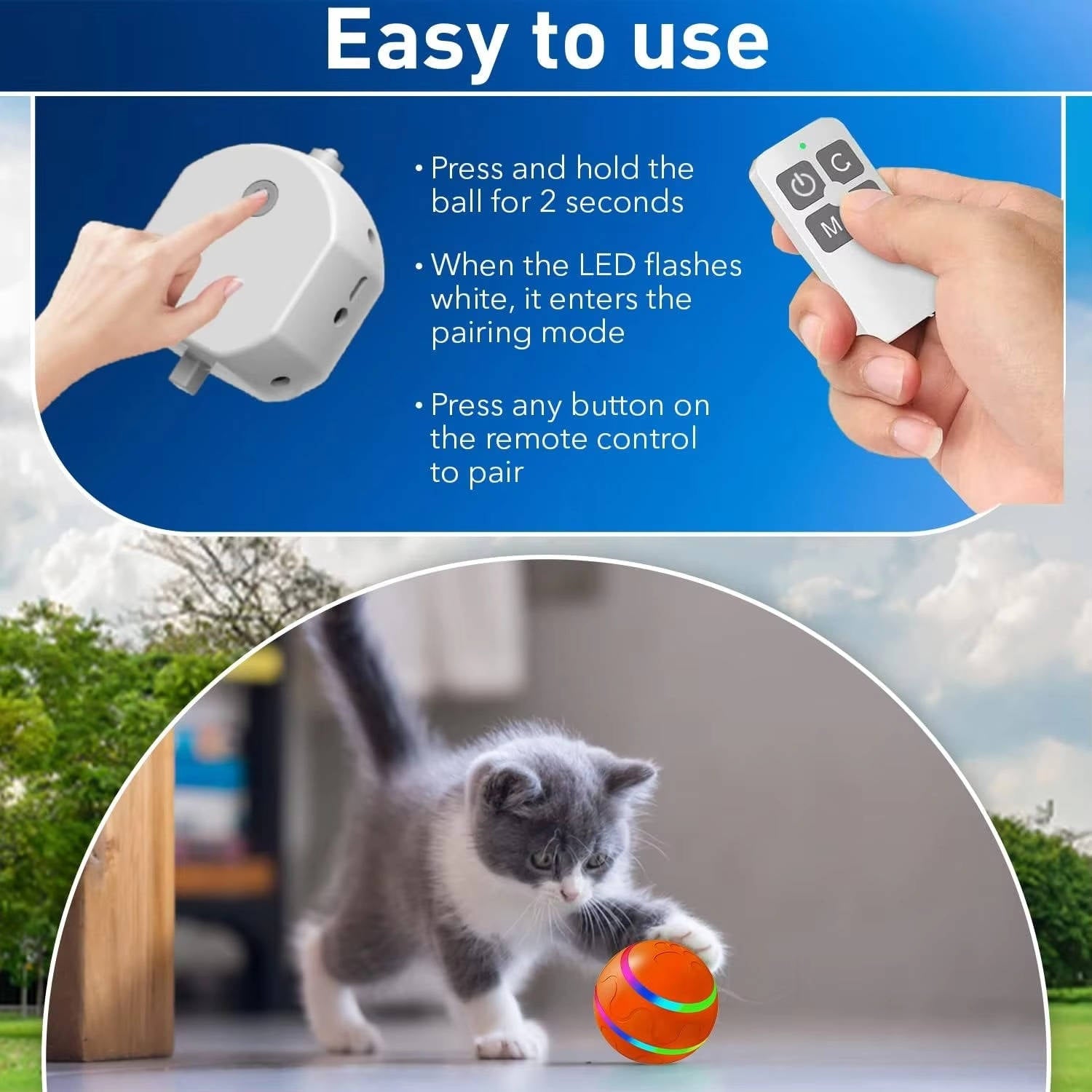 Remote Control Interactive Dog Ball Toy with LED Lights