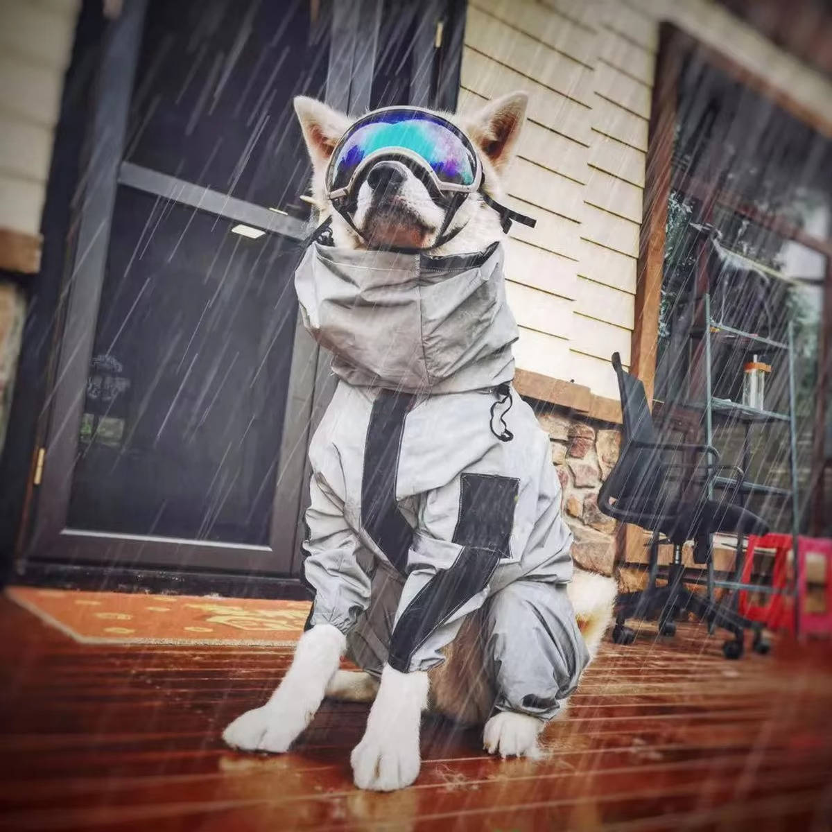 Waterproof Dog Raincoat with Hood and Reflective Strips