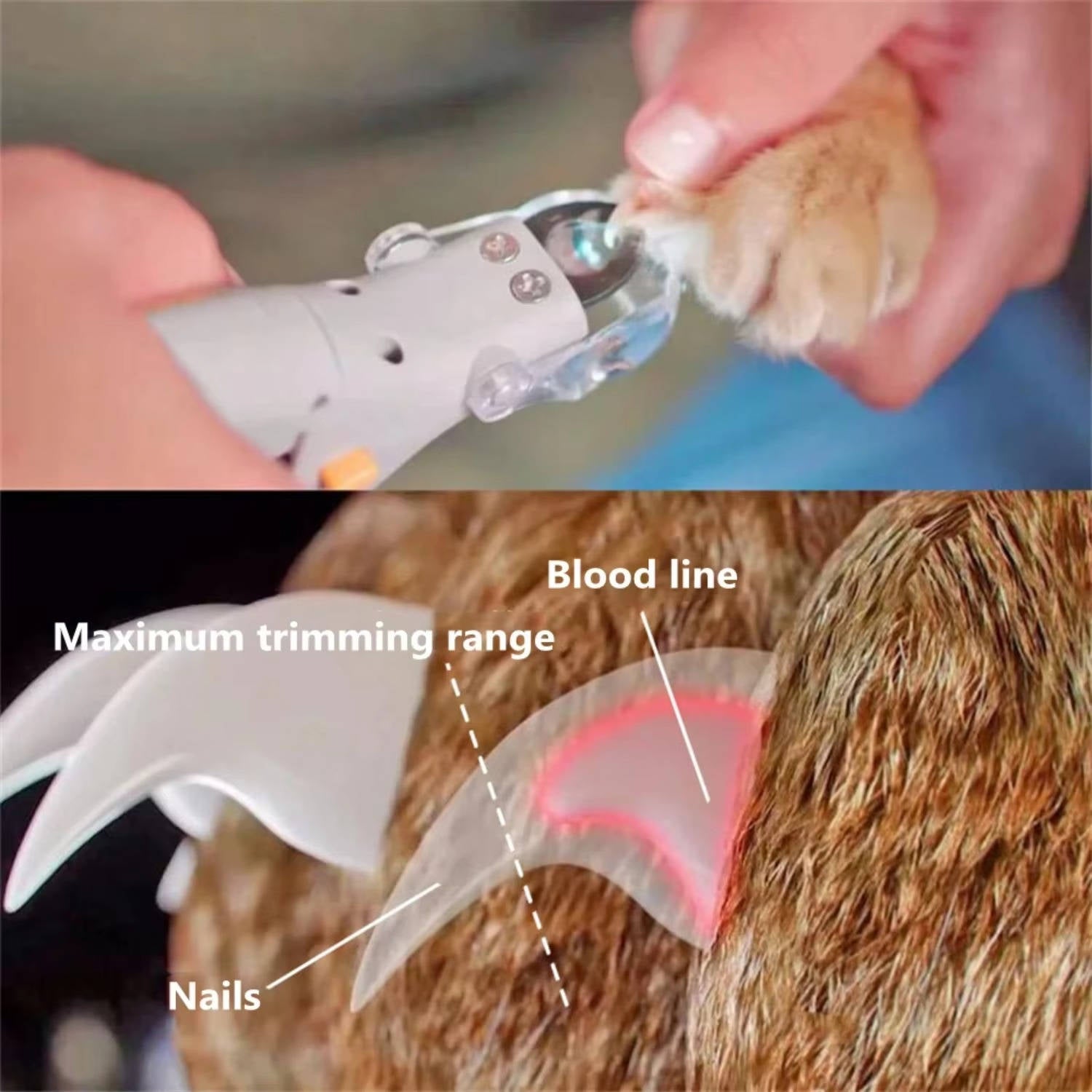 Pet Nail Clipper with LED Light and Magnifier
