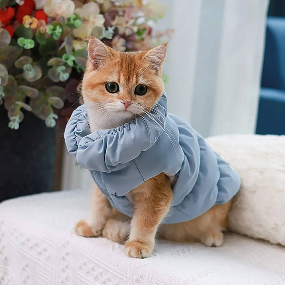 Warm Winter Coat for Small and Medium Dogs