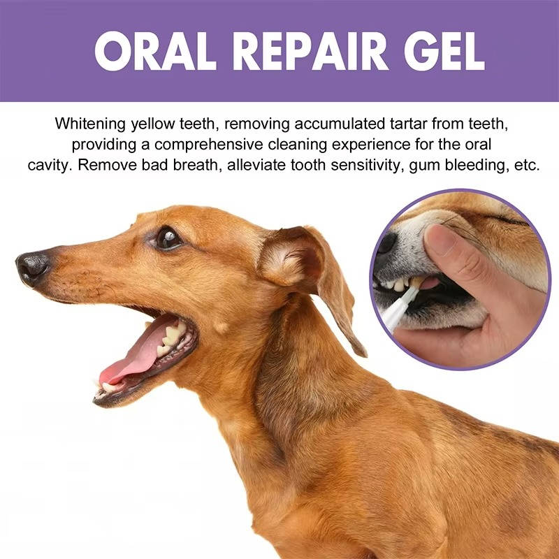 3-Pack Dog Oral Repair Gel