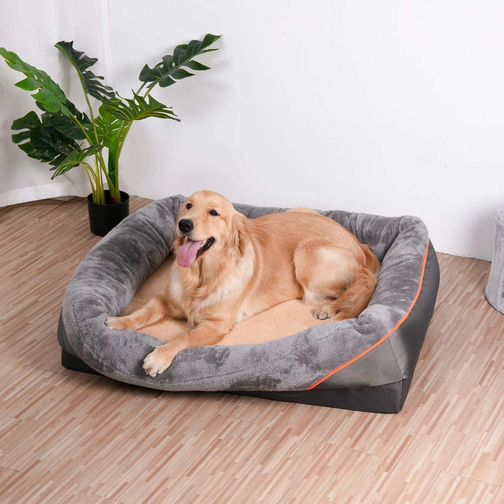 Orthopedic Foam Dog Bed with Raised Sides