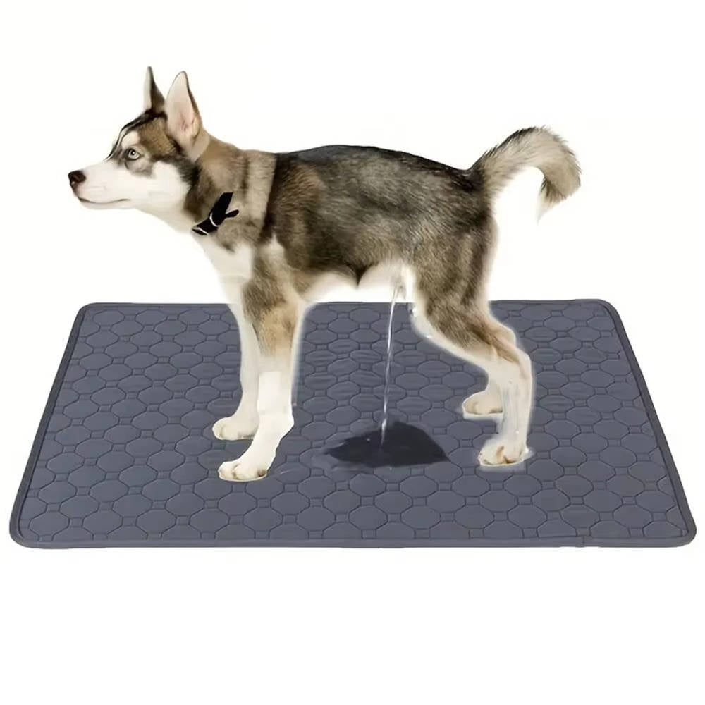 4-Layer Absorbent Dog Pee Pads, Disposable and Reusable