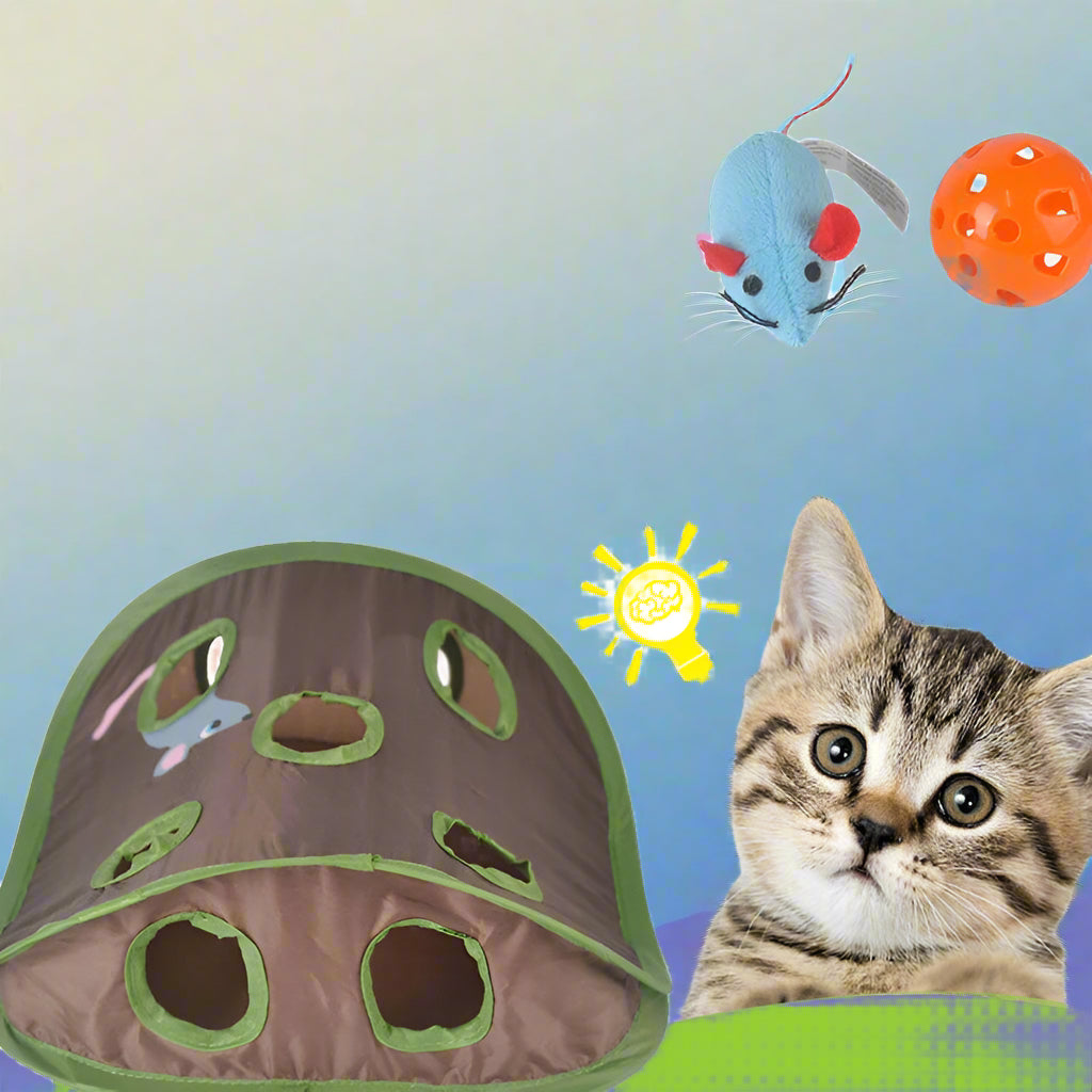 9-Hole Interactive Tunnel Mouse Chase Toy for Cats