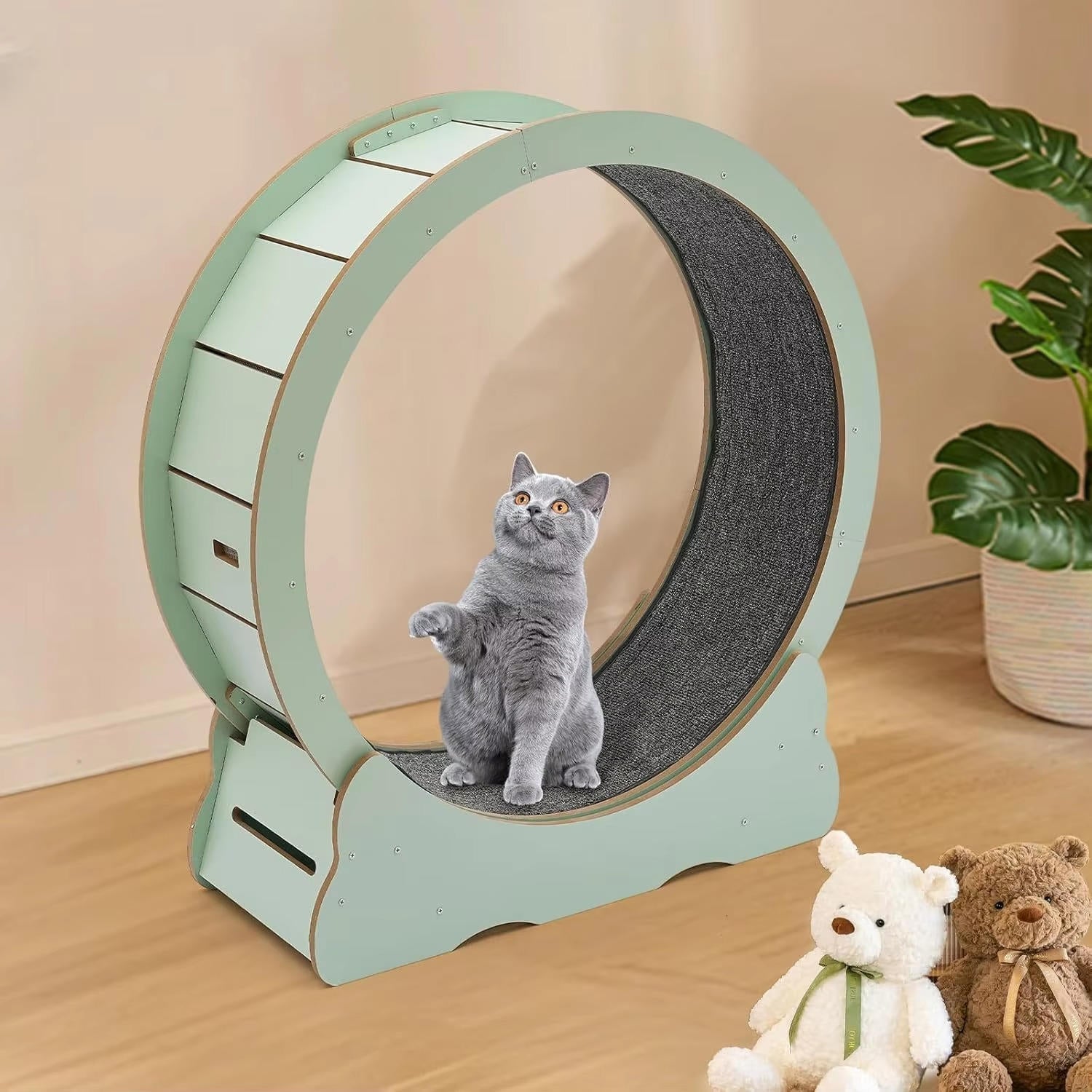 Quiet Indoor Cat Exercise Wheel with Cushioned Track