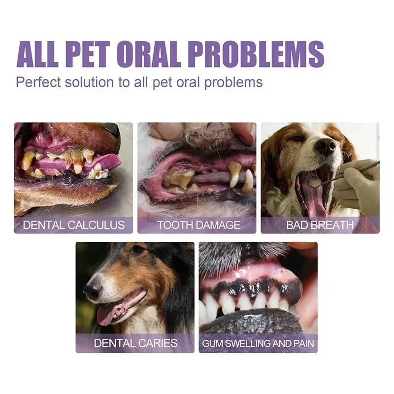3-Pack Dog Oral Repair Gel