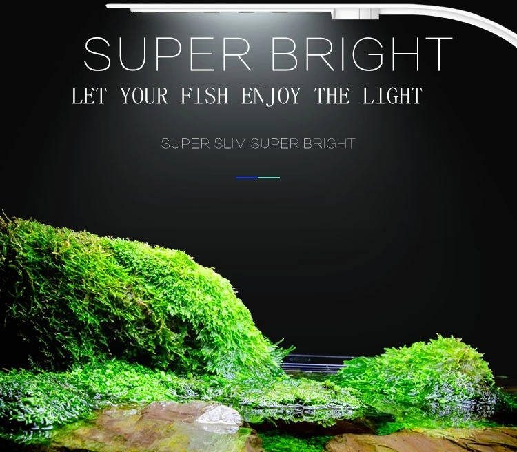 Super Slim LED Fish Tank Light for Aquariums and Aquatic Plants