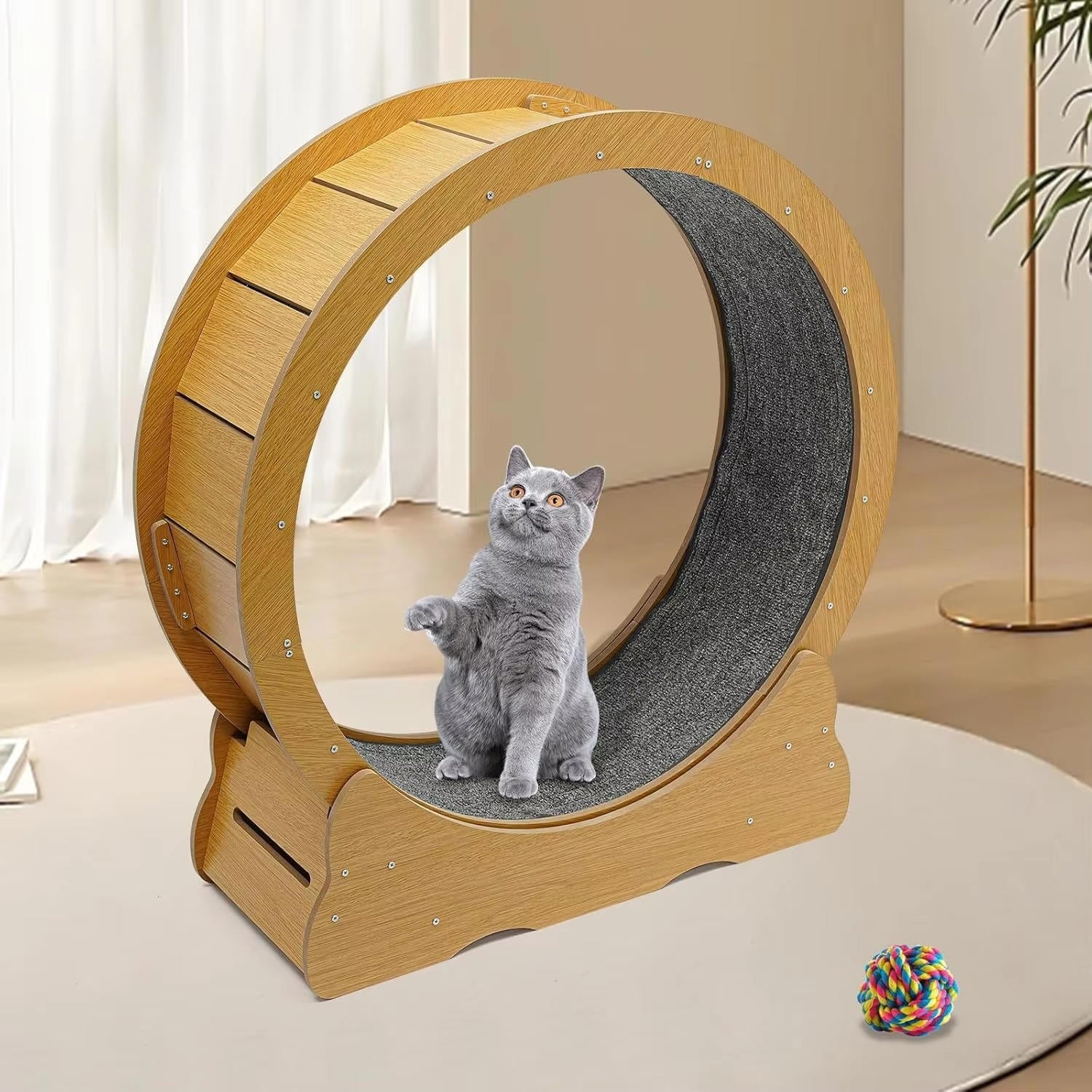 Quiet Indoor Cat Exercise Wheel with Cushioned Track