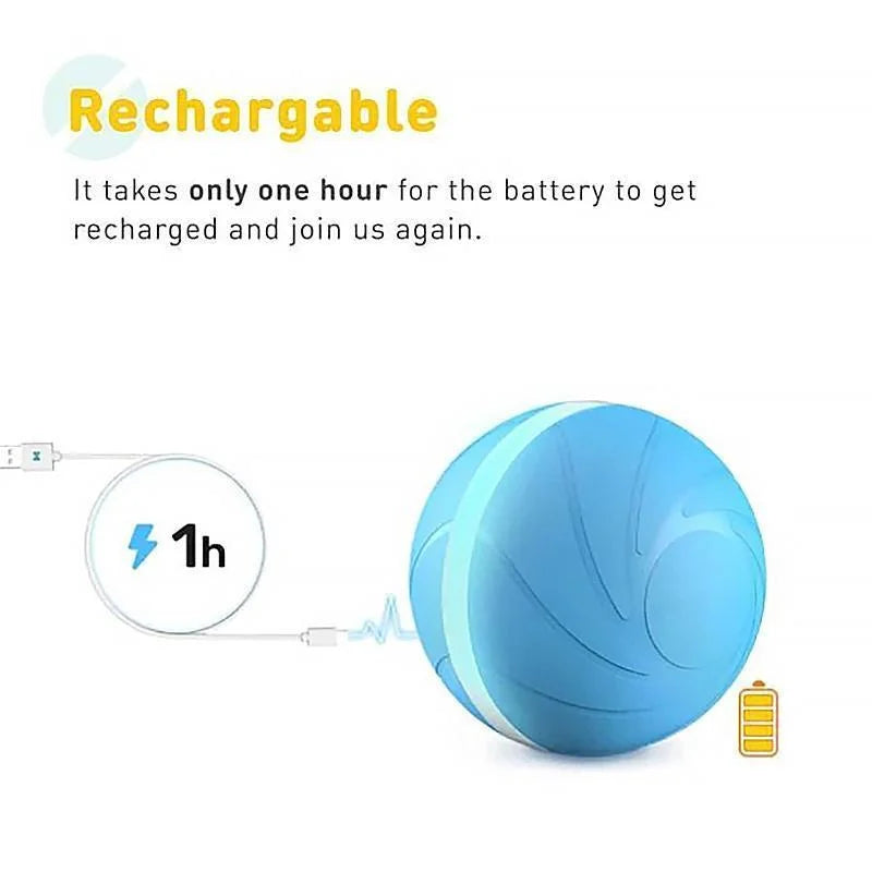 Interactive Motion Ball Toy for Cats & Dogs