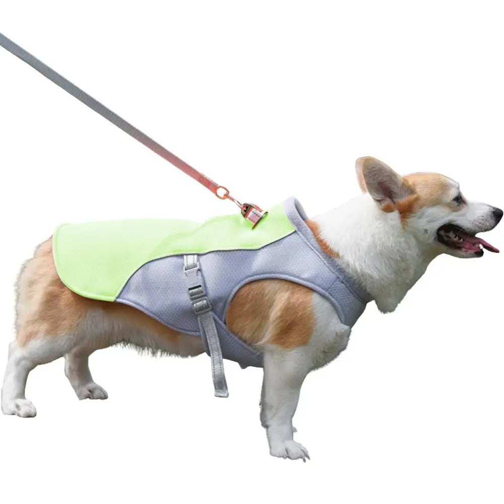 Dog Cooling Vest for Hot Weather Activities