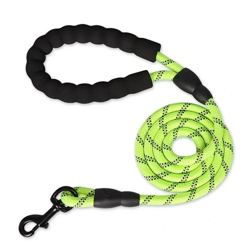 Reflective Dog Leash with Padded Comfort Handle