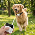 Wireless Pet Fence & Training Collar System