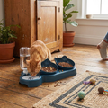 Triple Cat Bowl Feeder with Automatic Drinking Bottle
