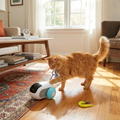 Remote Control Cat Toy Car with Interactive Tail