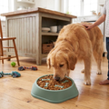 Anti-Choking Slow Feed Bowl for Small Dogs