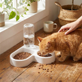 Double Bowl Feeding Set for Small Dogs and Cats